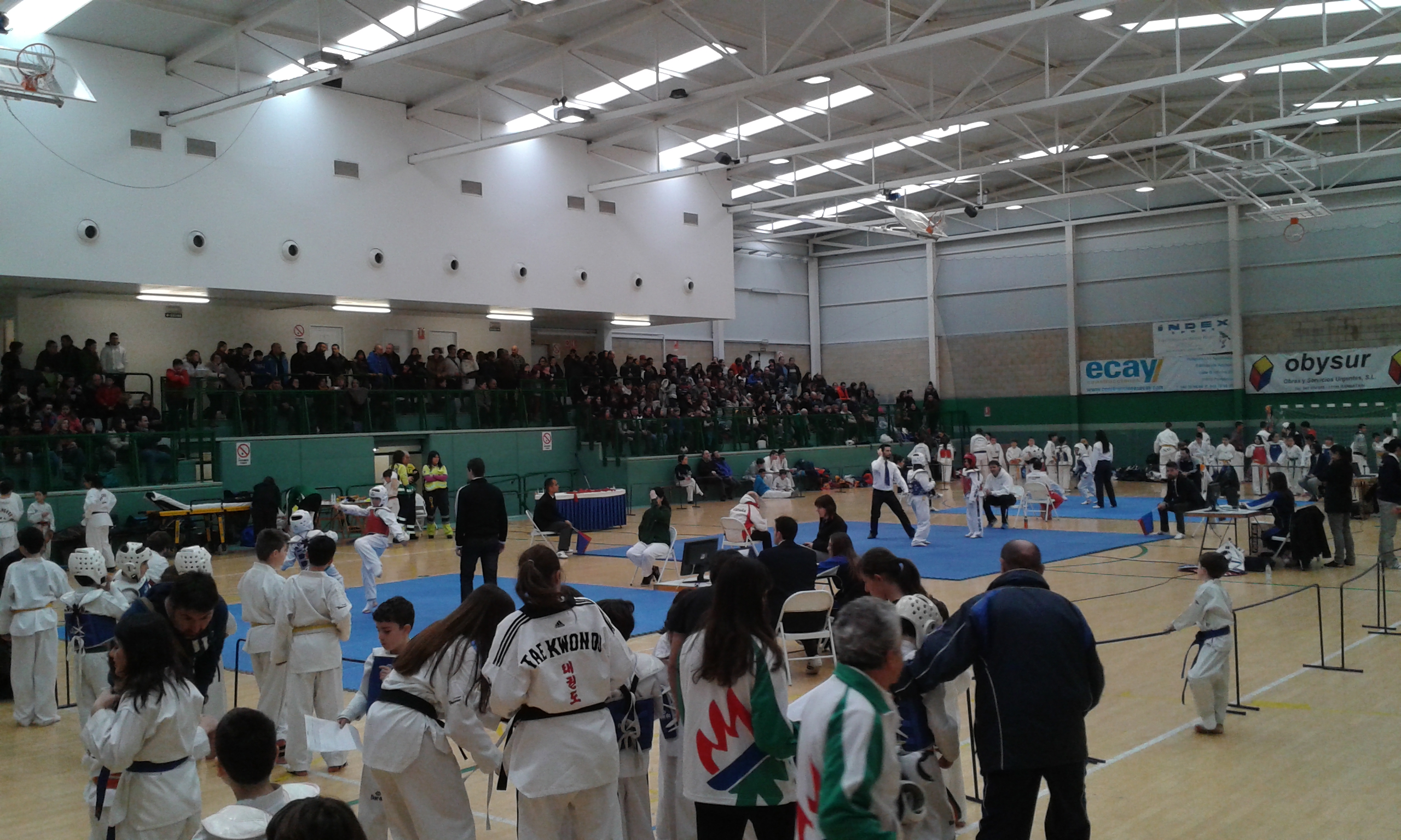 1ª Jornada III Liga de Taekwondo AEDONA