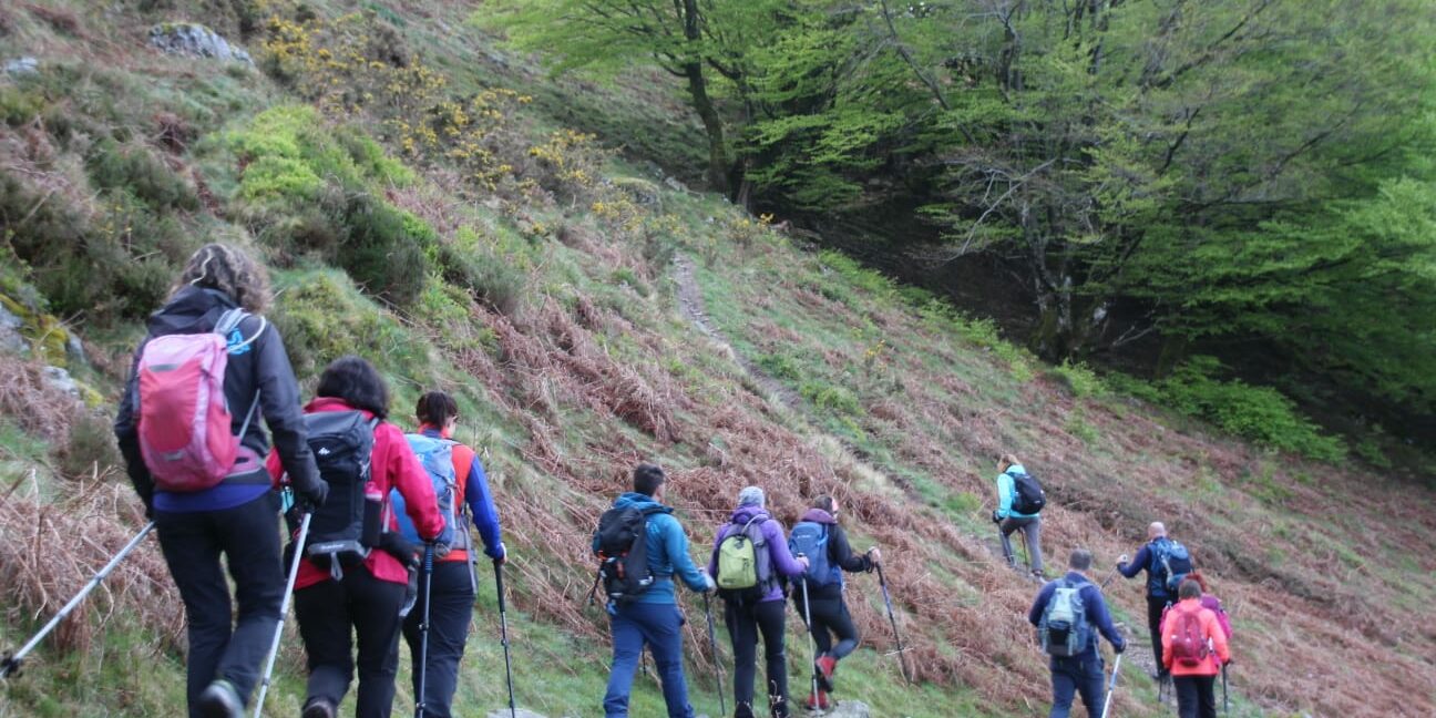 WhatsApp Image 2019-04-29 at 07.39.09