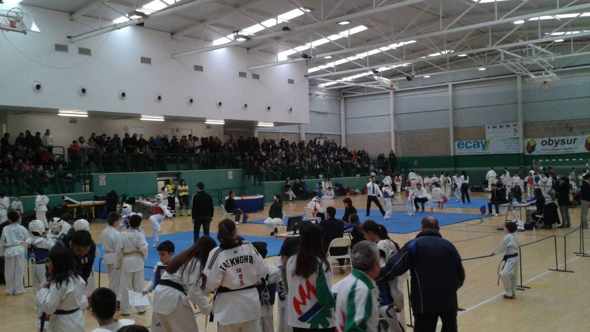 1ª Jornada III Liga de Taekwondo AEDONA