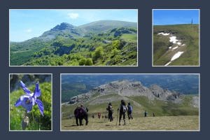 Gorbea 12 Mayo 19