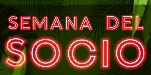 Captura de pantalla 2023-08-13 a las 10.12.50